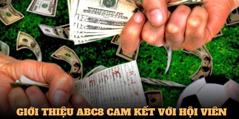 Giới thiệu ABC8 về cam kết với người dùng